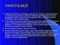 Parotis Bezi Özellikleri ve Faydaları Nelerdir? Parotis Bezi Özellikleri ve Faydaları Nelerdir?
